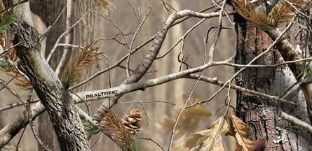camo, mimetizzazione, real tree, fotografia naturalistica, fotografare gli animali, appostamento, capanno mimetico, abbigliamento camo, abbigliamento mimetico,