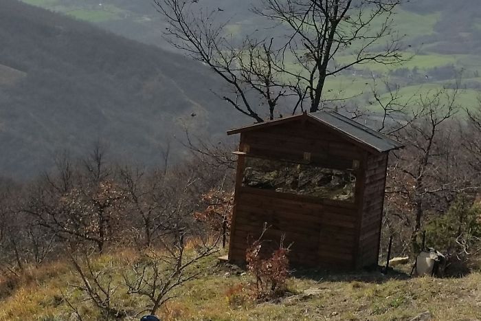 capanno fotografico, fotografia naturalistica, fotografare gli animali, capanno fisso, capanno rapaci, 