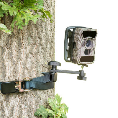 fototrappole, fototrappolaggio, camera trap, trail camera, videotrappola, migliore 