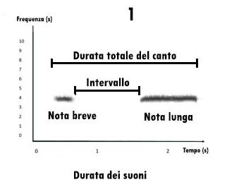 sonogramma, leggere un sonogramma, studiare i suoni, studiare i canti degli uccelli, sonogram reading, spectrogram reading, leggere uno spettrogramma, 