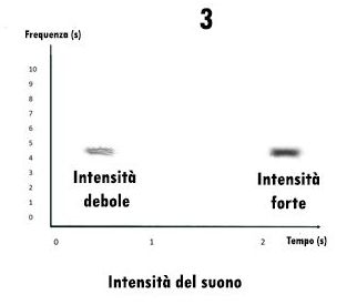 sonogramma, leggere un sonogramma, studiare i suoni, studiare i canti degli uccelli, sonogram reading, spectrogram reading, leggere uno spettrogramma, 