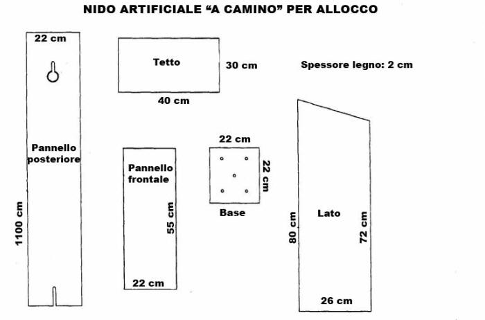 costruzione nido artificiale, fai da te, schema nido artificiale per allocco, bird garden, birdgardening, nidi artificiali, nest boxes, nidi per uccelli, Allocco, Strix aluco, Tawny Owl, Waldkauz, Carabo comun, Chouette hulotte, 