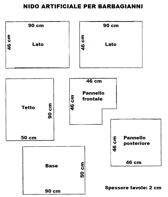 costruzione nido artificiale, fai da te, schema nido artificiale,  Barbagianni, tyto alba, barn owl, Schleiereule, lechuza comn, Effraie des clochers 