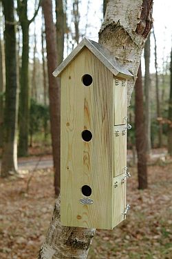 bird garden, birdgardening, nidi artificiali, nest boxes, nidi per uccelli, passeri, passer, sparrows, 