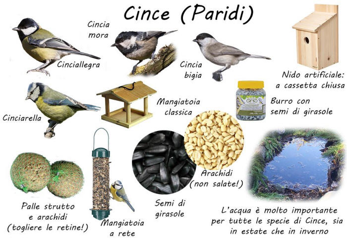 bird garden, birdgardening, nidi artificiali, nest boxes, nidi per uccelli, mangiatoie per uccelli, cibo per uccelli selvatici, aiutare gli uccelli, cinciarella, cinciallegra, cincia bigia, cincia mora, cincia dal ciuffo, 