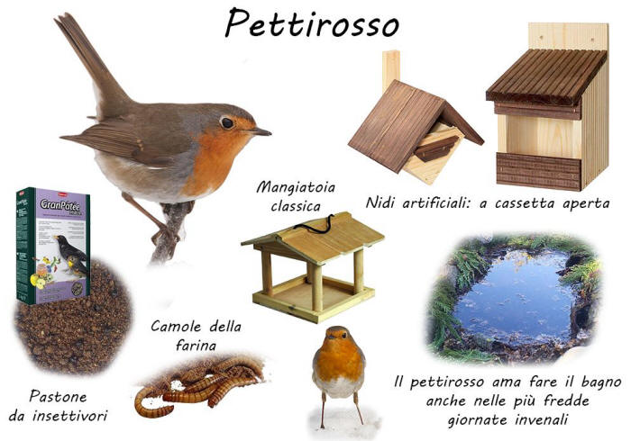 bird garden, birdgardening, nidi artificiali, nest boxes, nidi per uccelli, mangiatoie per uccelli, cibo per uccelli selvatici, aiutare gli uccelli, pettirosso, 