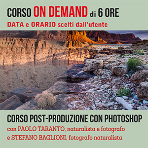 corso online post-produzione, elaborazione foto, fotografia naturalistica, post produzione fotografia di paesaggio, foto landscape, photoshop, 
