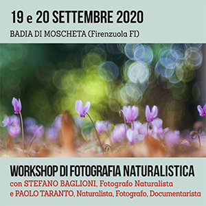 workshop pratico, fotografia naturalistica pratica, corso di fotografia, fotografia macro, fotografare le fioriture, fotografare gli insetti, fotografare gli animali, capanno appostamento, fotografare i mammiferi, fotografia landscape notturna, fotografia Hi-Speed, pipistrelli